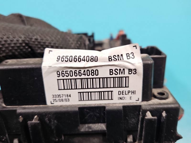 Блок керування модуль Peugeot 307 9650664080 — фото деталі 3