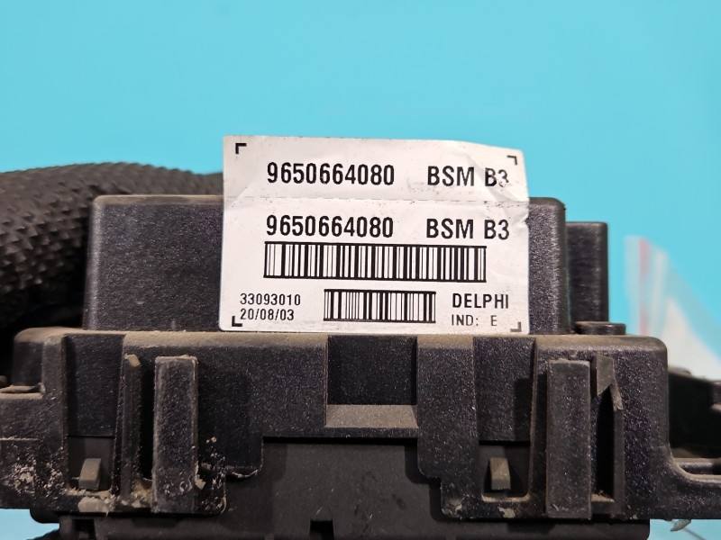 Блок керування модуль Peugeot 307 9650664080 — фото деталі 3