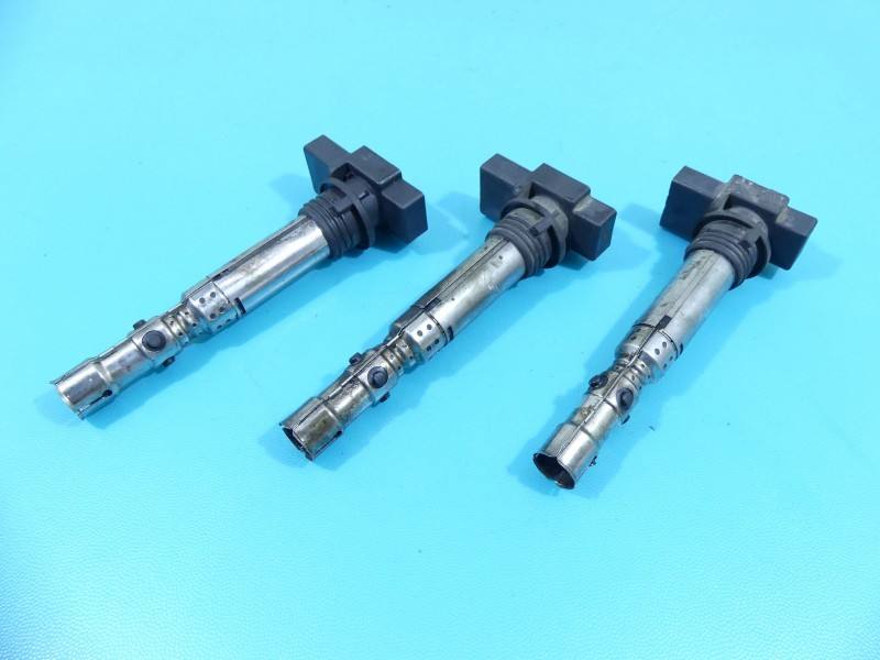 Катушка зажигания модуль Volkswagen Fox 0040102059