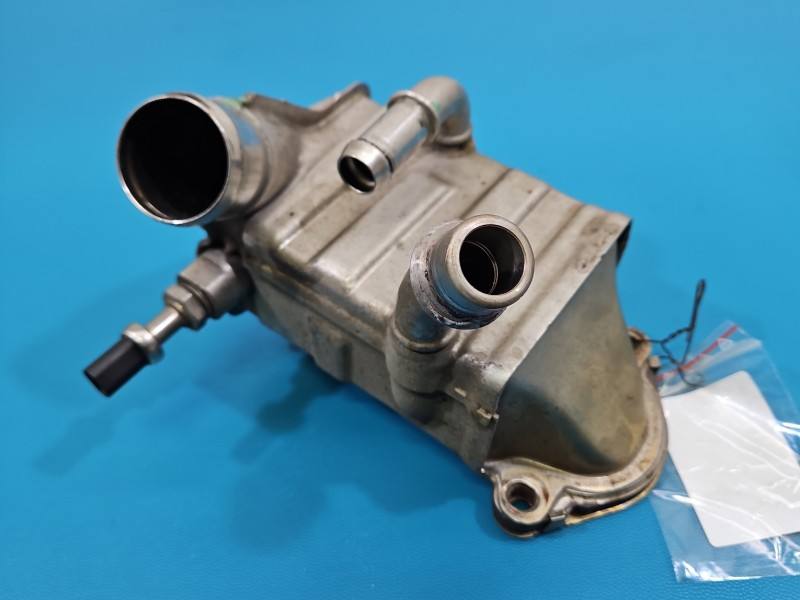 Радіатор EGR вихлопних газів Opel Astra K 55484809
