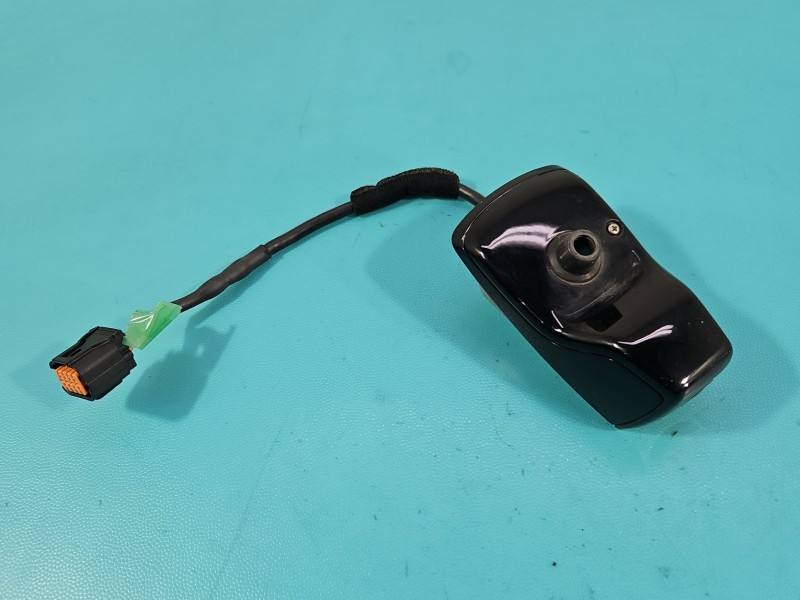 Камера заднього виду Kia Niro 95760-G5000