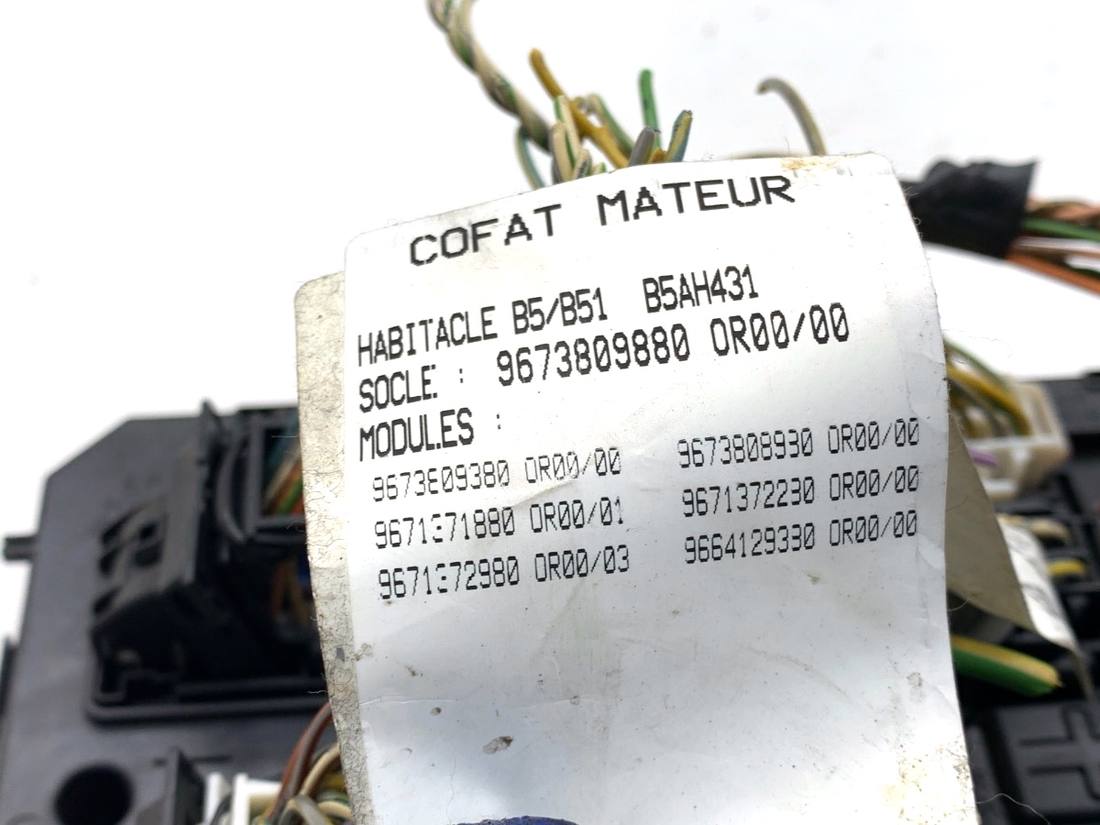 Блок керування модуль Citroen C4 9673809880 — фото деталі 5