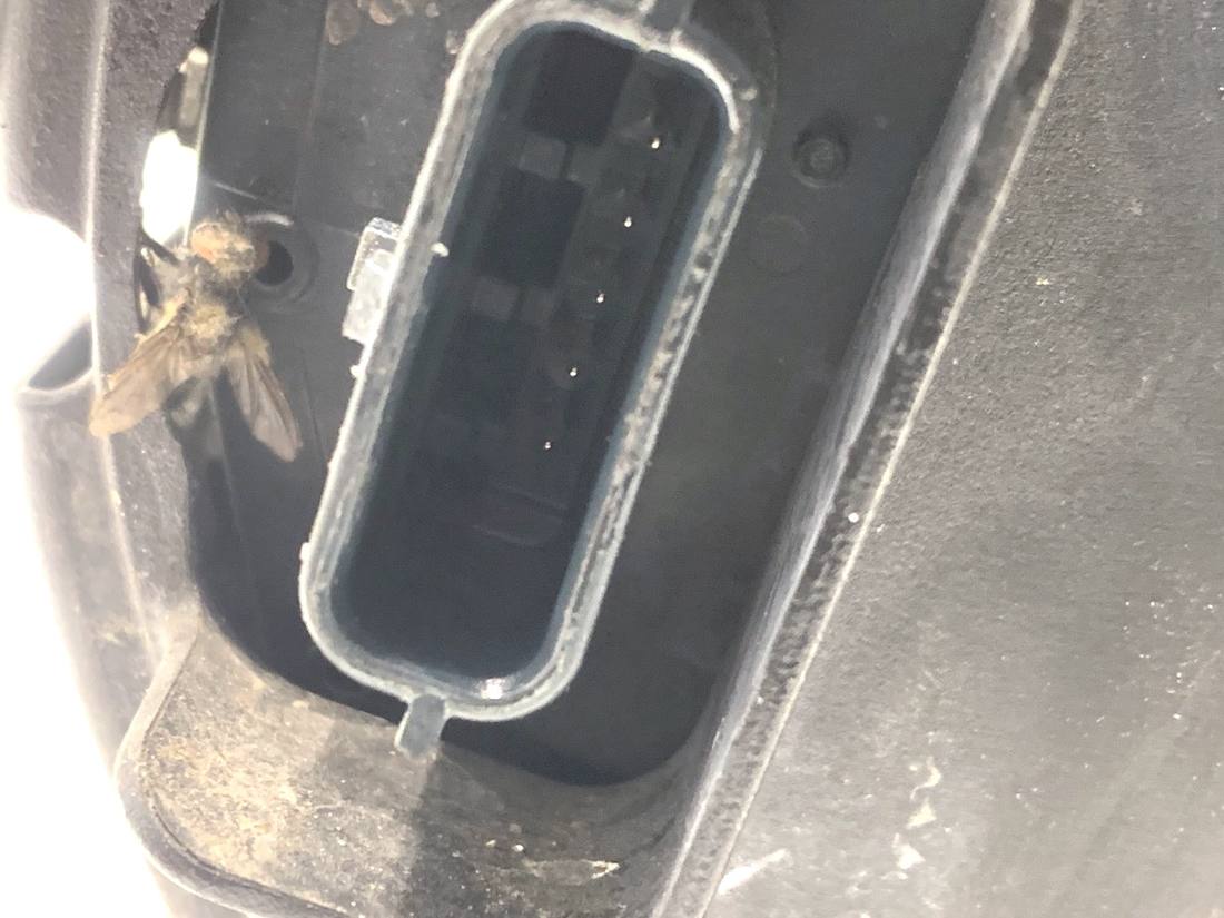 Генератор Nissan Qashqai 2310A8238R — фото детали 4
